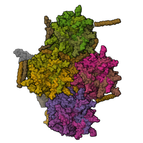 Featured image for “Zubaida and Jonathan included as coauthors on “Structure of Human adenovirus 7 virus-like particles, a platform for developing nanotherapeutics and studying capsid assembly” appearing in PNAS.”
